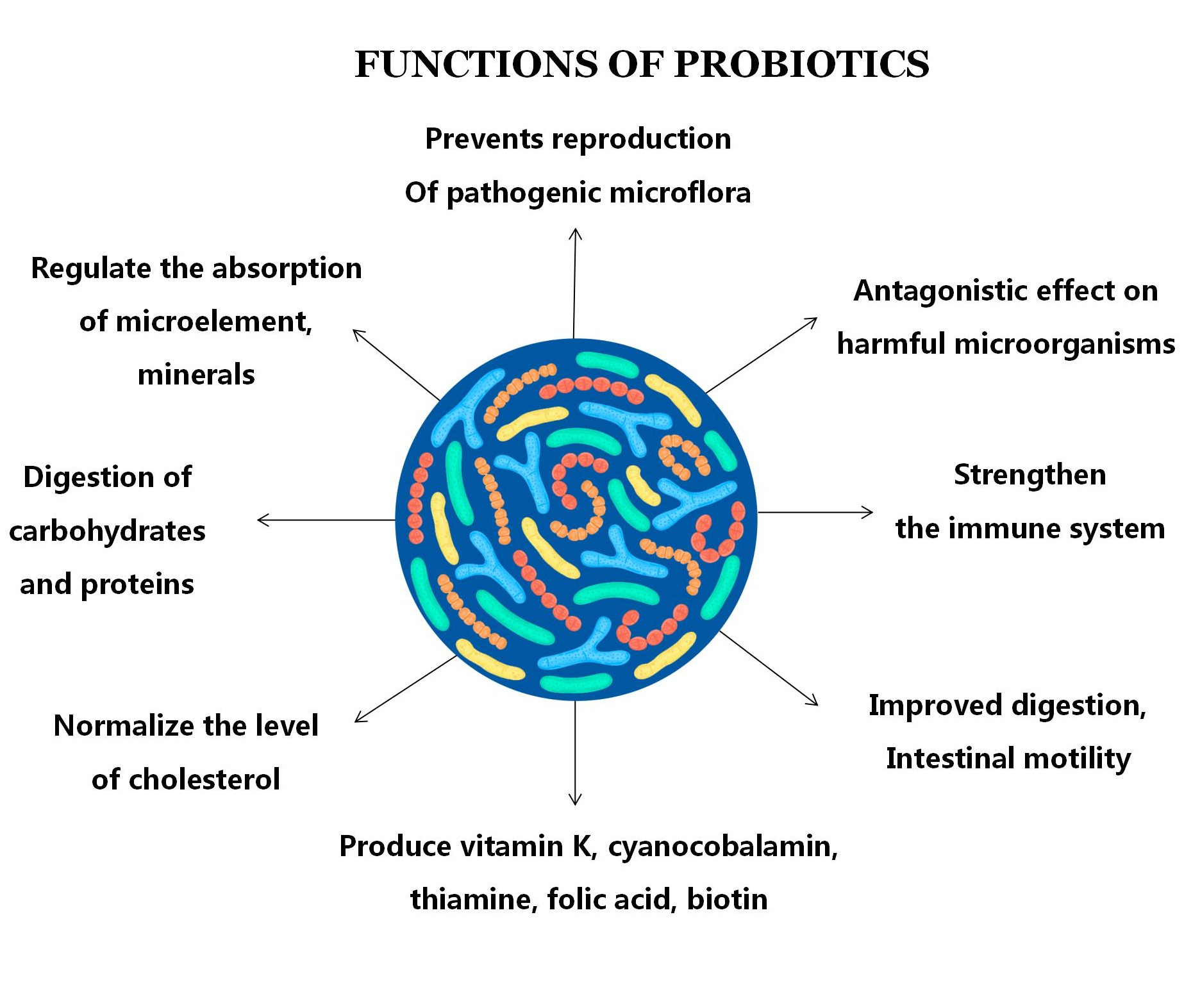 Food Grade Monostrain Probiotika Pulver Bifidobacterium lactis